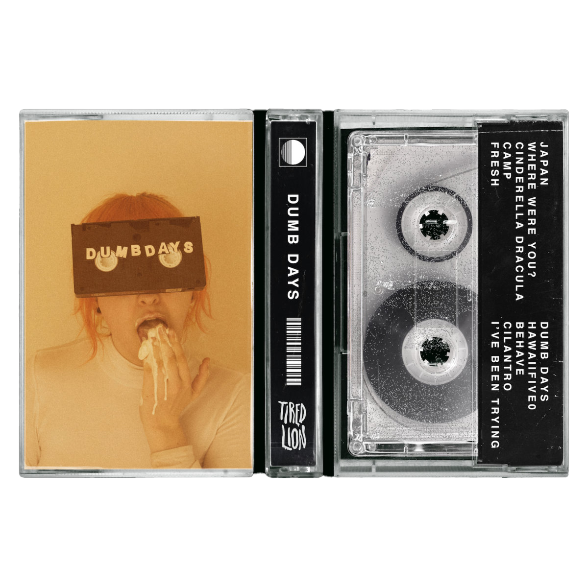 1 LEFT!! Collectable ~ Dumb Days Cassette Tape