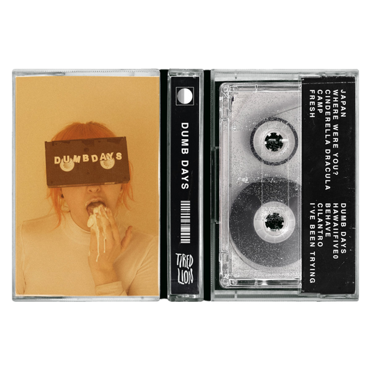 Collectable ~ Dumb Days Cassette Tape